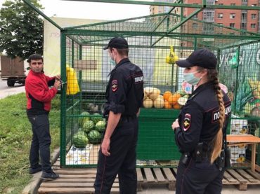 Местная администрация проверила овощные развалы в Кудрово   