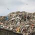 Ленобласть очистит от мусора петербургский МПБО-2 в Янино-1