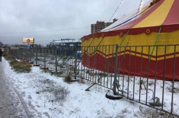 Цирку, посетившему Кудрово, грозит крупный штраф