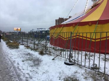 Цирку, посетившему Кудрово, грозит крупный штраф