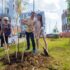 Жители Заневского поселения высадили фамильные деревья