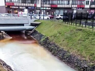 Госэконадзор расследует загрязнение водоема в Кудрово