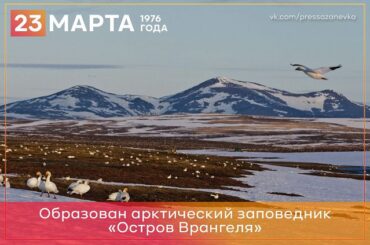 23 марта 1976 года в Чукотском автономном округе основан первый в стране арктический природный заповедник «Остров Врангеля»