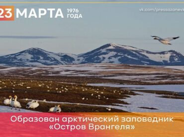23 марта 1976 года в Чукотском автономном округе основан первый в стране арктический природный заповедник «Остров Врангеля»