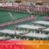 19 июля 1980 года в Москве открылись XXII Олимпийские игры 