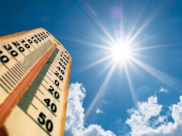 Жителей Ленобласти предупреждают о жаркой погоде 
