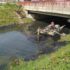 В Кудрово начали очищать Безымянный ручей