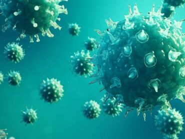 Уровень заболеваемости коронавирусом в Заневском поселении продолжает снижаться 