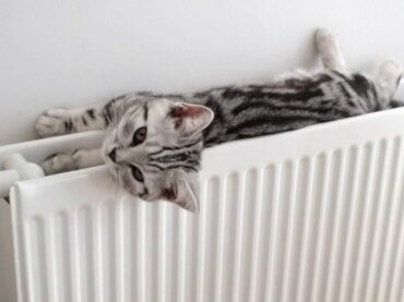 Почему в домах не отключают отопление?