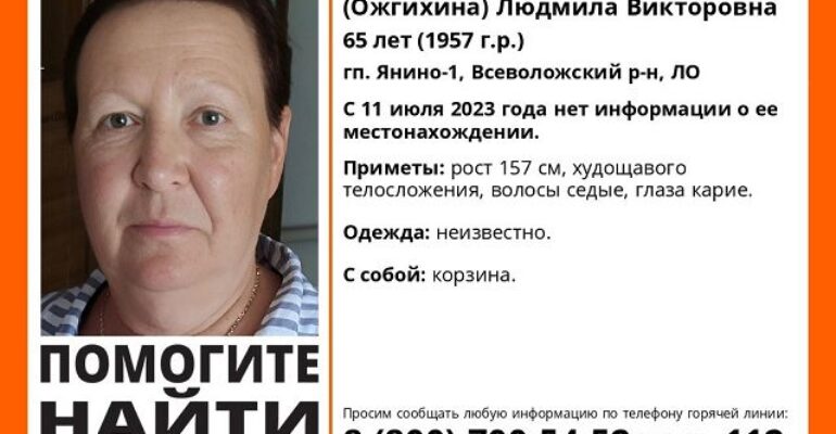 В Янино-1 пропала пенсионерка с корзиной