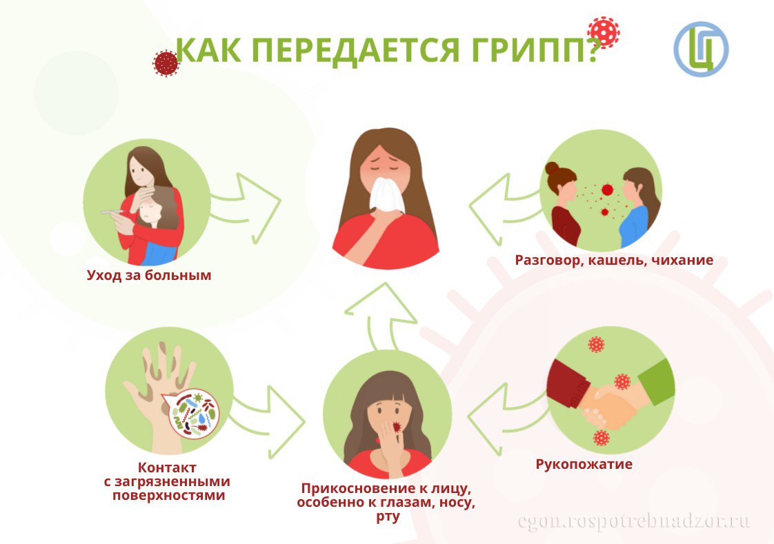 Наступила осень, а значит подъем заболеваемости гриппом не за горами. Очень часто грипп недооценивают, считая обычной острой респираторной вирусной инфекцией. Но это не совсем так.